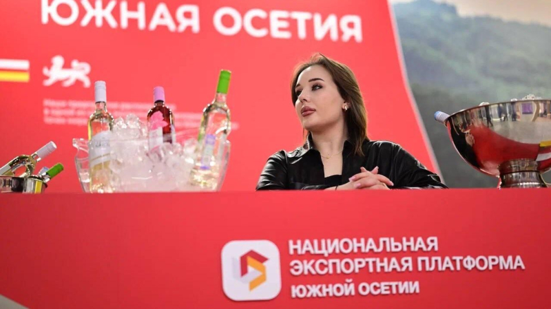 РЭЦ и Южная Осетия оценили перспективы сотрудничества