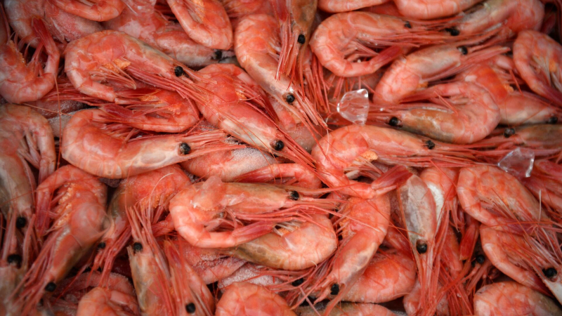 Россия нарастила импорт креветок в 2025 году ﻿