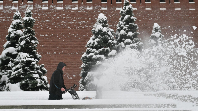 Синоптик рассказал, когда снегопад в Москве достигнет пика