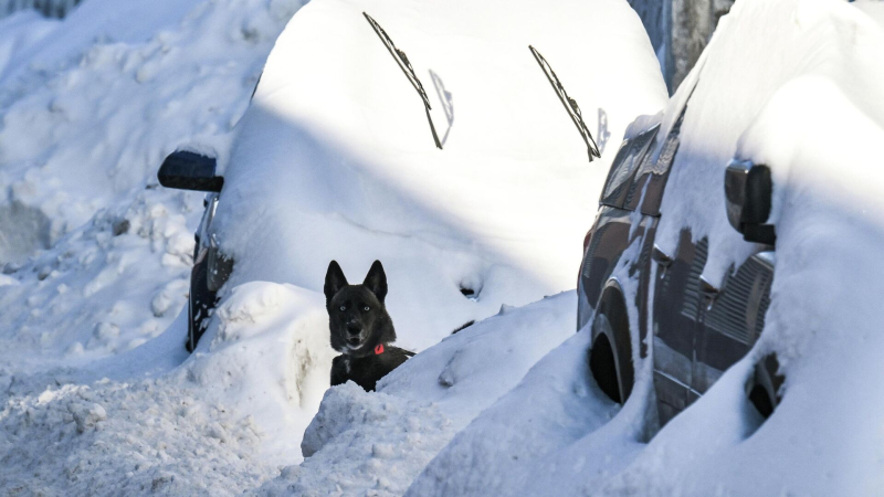 Синоптик рассказал о морозах в Москве в ночь на воскресенье