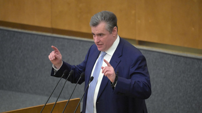 Слуцкий призвал создать систему психологической реабилитации для ветеранов