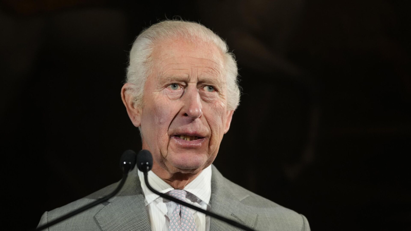 СМИ: Карл III одобрил доступ к документам по делу о связях Эндрю и Эпштейна