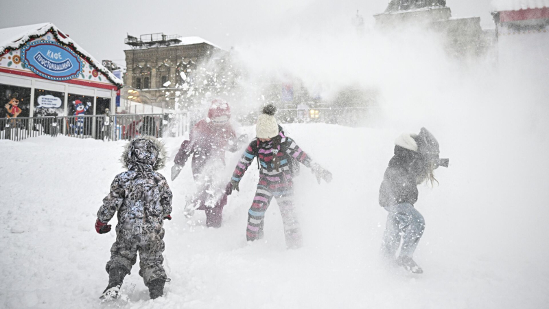 Собянин и Решетников пошутили о снегопадах в Москве