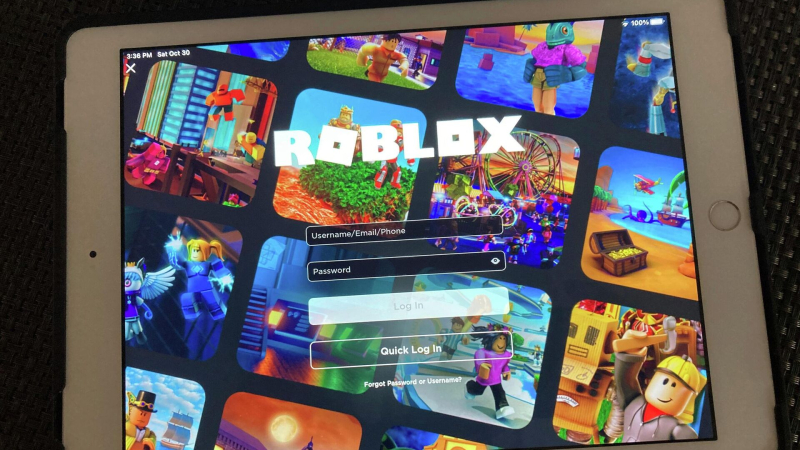 Суд в Москве зарегистрировал протокол о пропаганде ЛГБТ* на Roblox