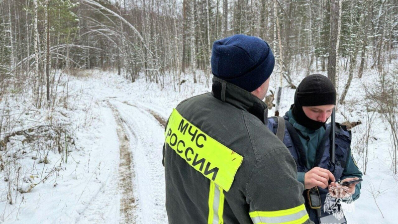 Сын Усольцевой считает, что семья может быть жива