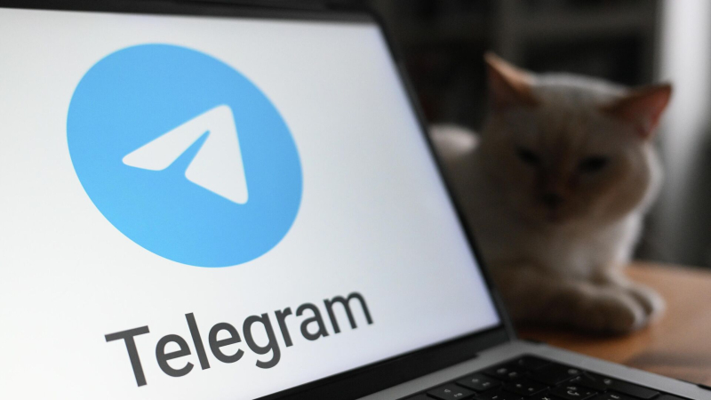 У россиян стали исчезать сообщения в Telegram