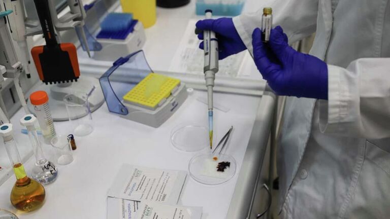 Ученые придумали, как заживлять раны с помощью кожи кролика