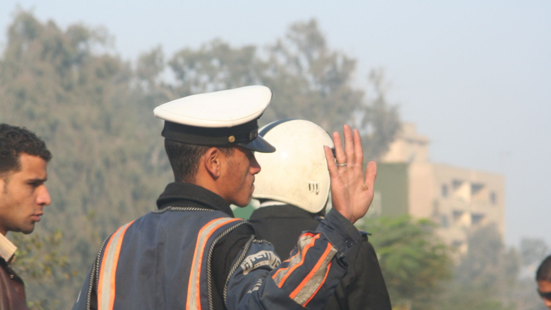 В Египте предотвратили вечеринку по тематике острова Эпштейна