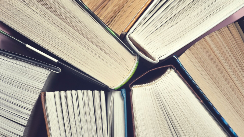 В Институте Пушкина объяснили, когда допустимо говорить слово "кушать"