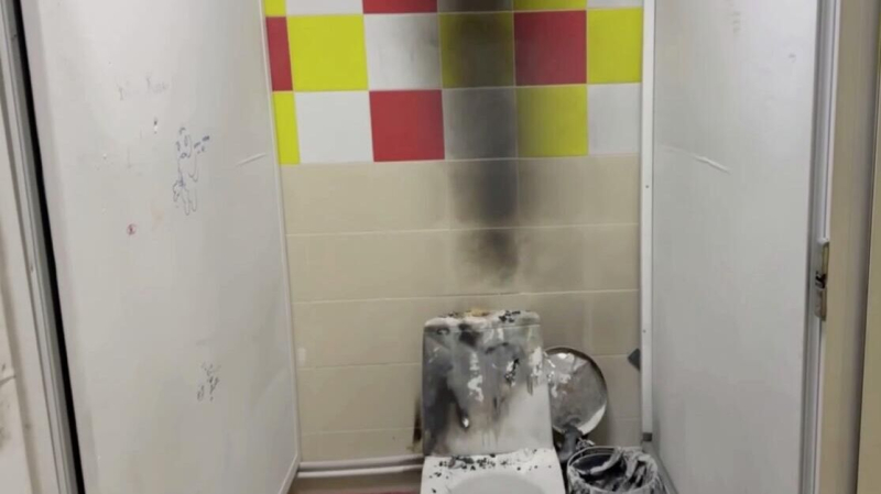 В Красноярске завели дела после нападения ученицы в школе