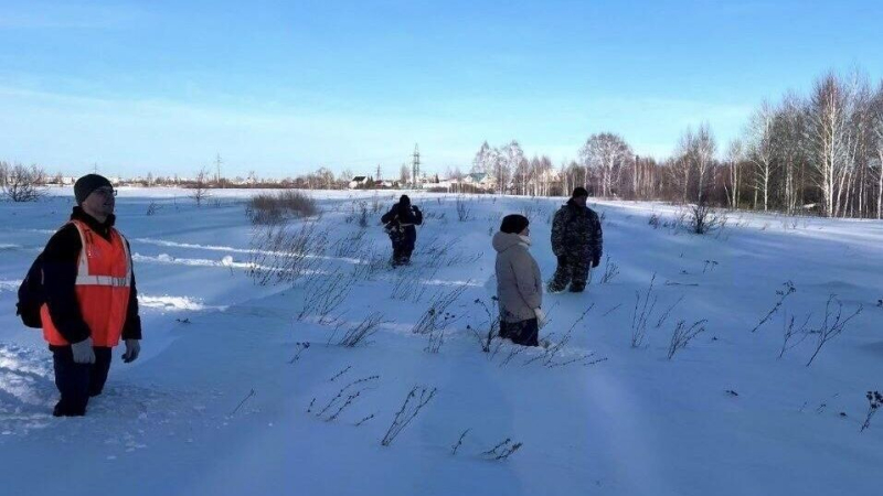 В "Лизе Алерт" рассказали, как обезопасить ребенка от пропажи
