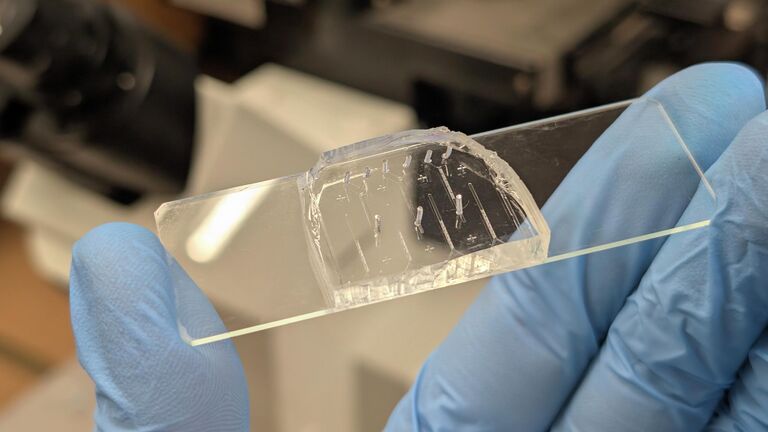 В Петербурге создали прибор для диагностики рака и быстрого старения