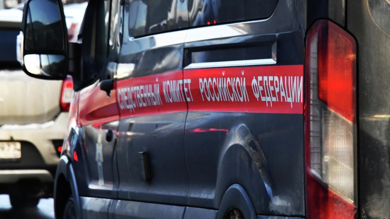 В Петербурге возбудили дело после смертельного наезда "Камаза" на ребенка