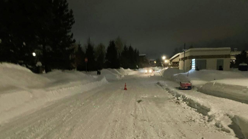 В Подмосковье задержали водителя после смерти девочки на тюбинге