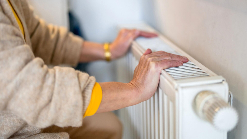 В России назвали самый выгодный способ отопления загородных домов