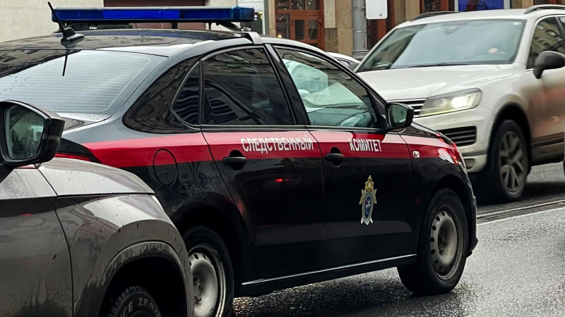 В СК рассказали о поисках девочки, пропавшей в Смоленске