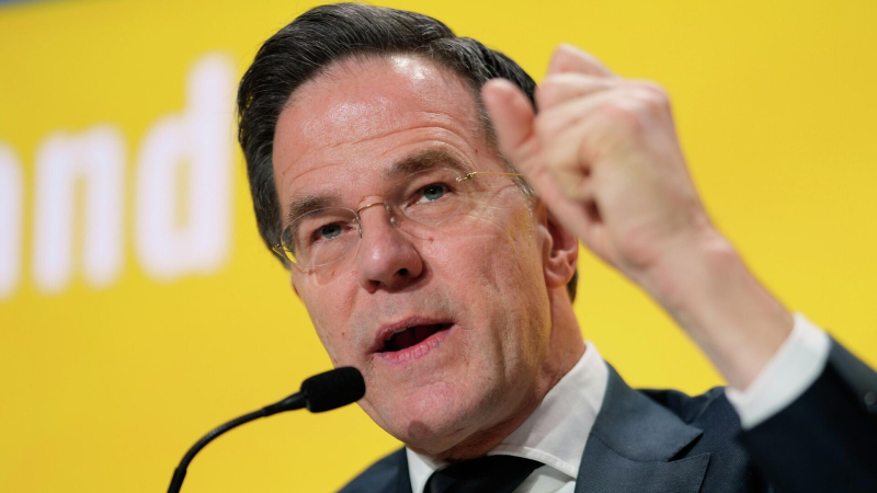 В Совфеде призвали Рютте перестать героически бороться с фантомами