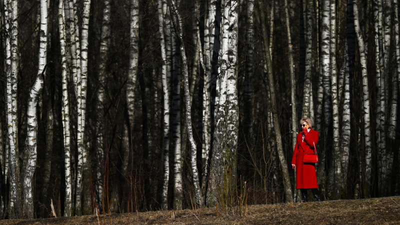 Весна в Москве в 2026 году придет как минимум в срок, рассказал синоптик