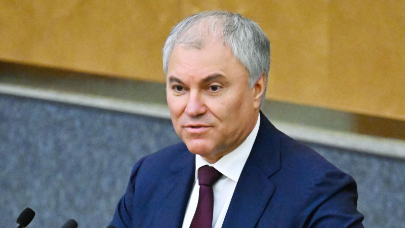 Володин отметил вклад ветеранов в передачу опыта молодому поколению