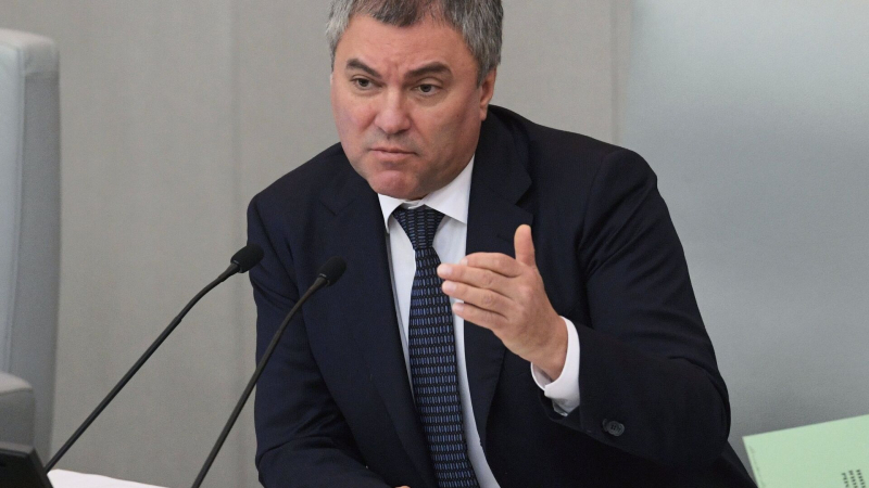 Володин предупредил о последствиях решения Европы в отношении смены пола