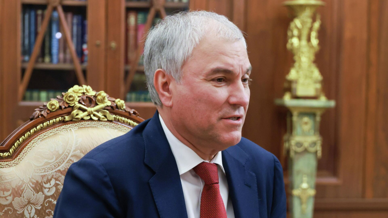 Володин рассказал о законе о ежемесячном пособии для многодетных семей