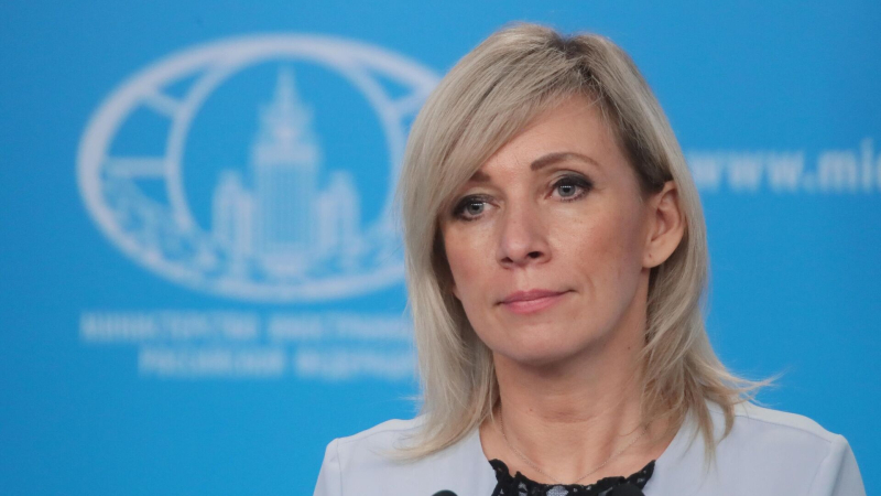 Захарова прокомментировала историю с обезьянкой в японском зоопарке