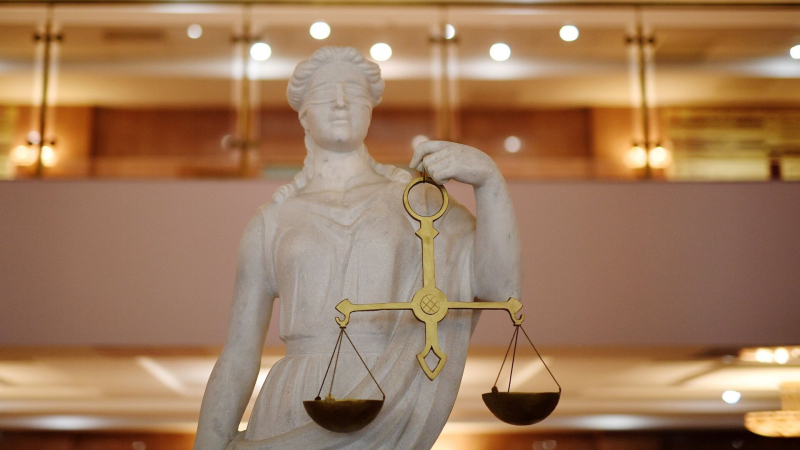 Жительницу Москвы отправили в СИЗО за посты с нацистской символикой