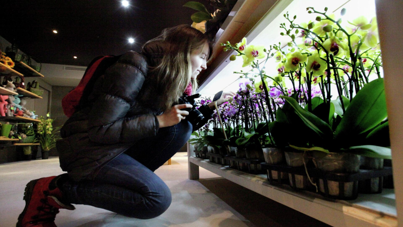 Эксперты назвали самый популярные цветы к 8 марта