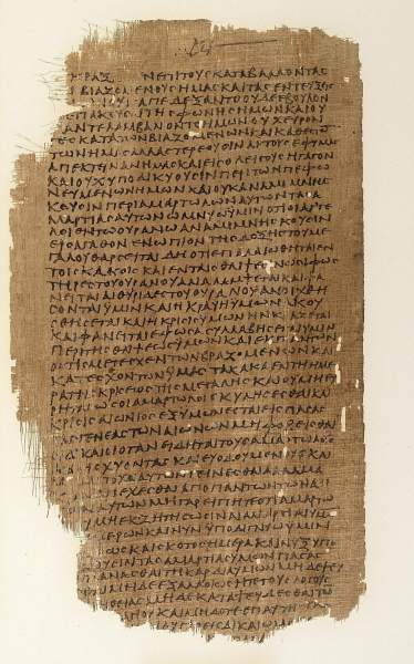 "Есть весомые доказательства". Ученые прояснили темное место в Библии