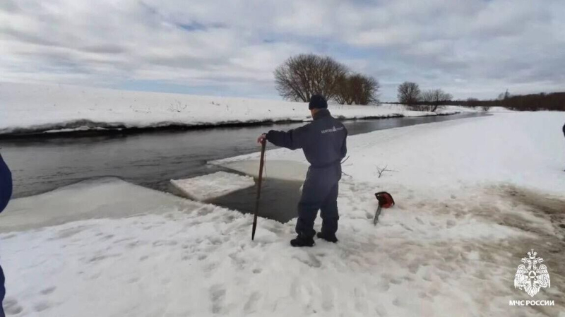 Появились новые детали пропажи детей в Подмосковье