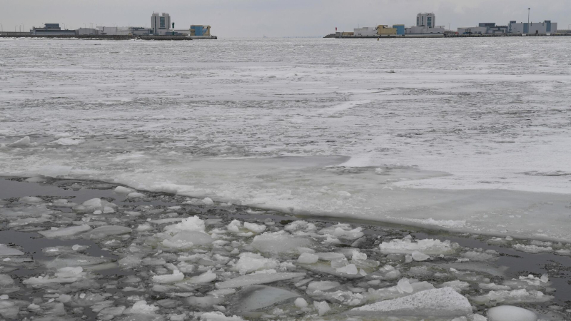 Посольство России прокомментировало ноту Эстонии из-за ледокола "Мурманск"