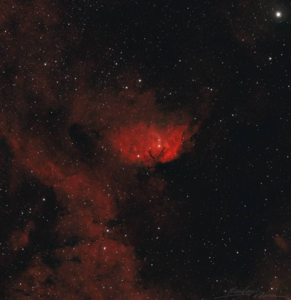 "Роскосмос" показал космические туманности, похожие на цветы