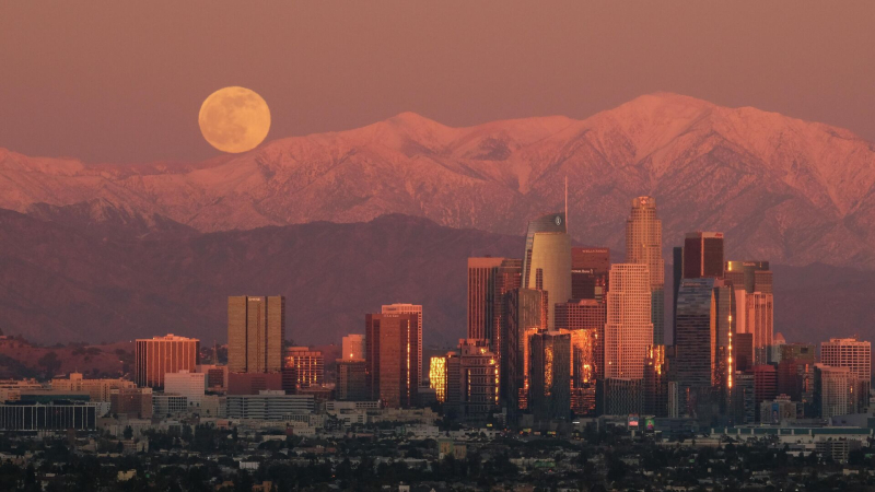 Сбежавшие из России звезды попали под массовые проверки в США, пишут СМИ