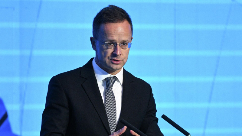 Сийярто заявил, что Венгрия защищает соотечественников, попавших в ВСУ