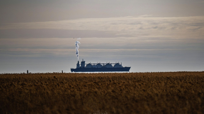 В Японии допустили альтернативные закупки СПГ