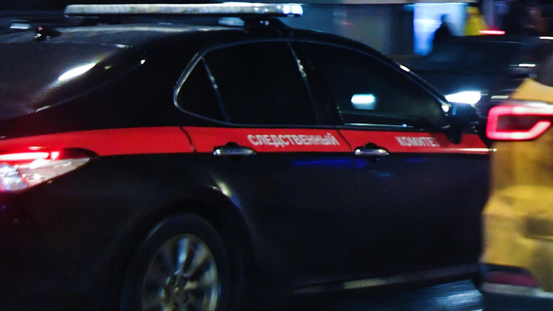 В Зеленограде начали проверку после пожара в доме, где погибли люди