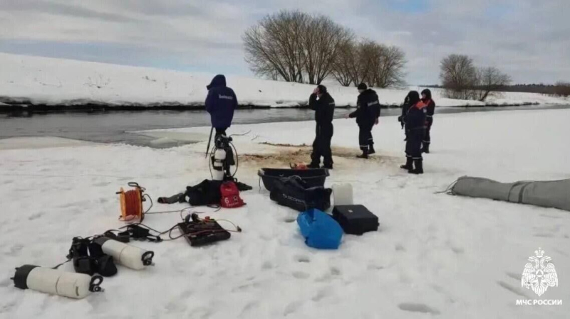 Волонтеры в Звенигороде ждут фото с воздуха для продолжения поисков детей
